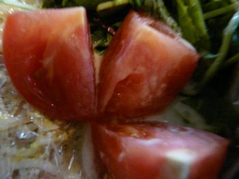 2009年6月30日 飽きないでクリックしてね!_b0098584_17394466.jpg