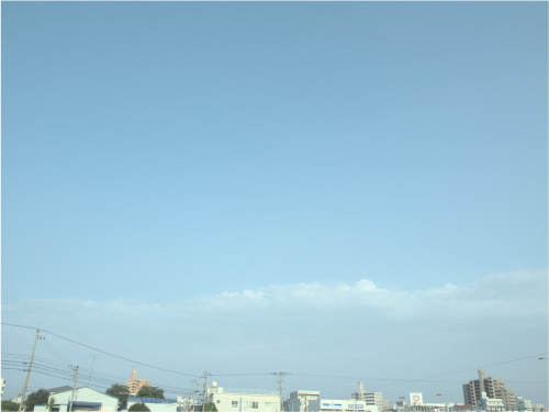 e0169488_1036116.jpg