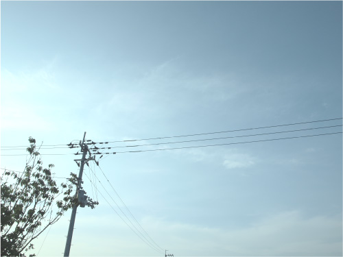 e0169488_1036622.jpg