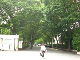 c0002089_7286100.jpg