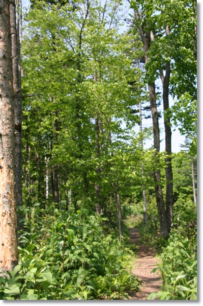 f0146493_03763.jpg