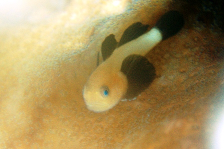 f0180993_0285100.jpg