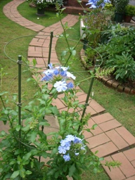 c0117898_1031647.jpg
