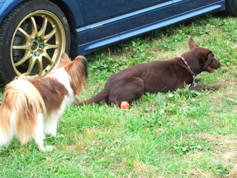 c0044199_05537.jpg