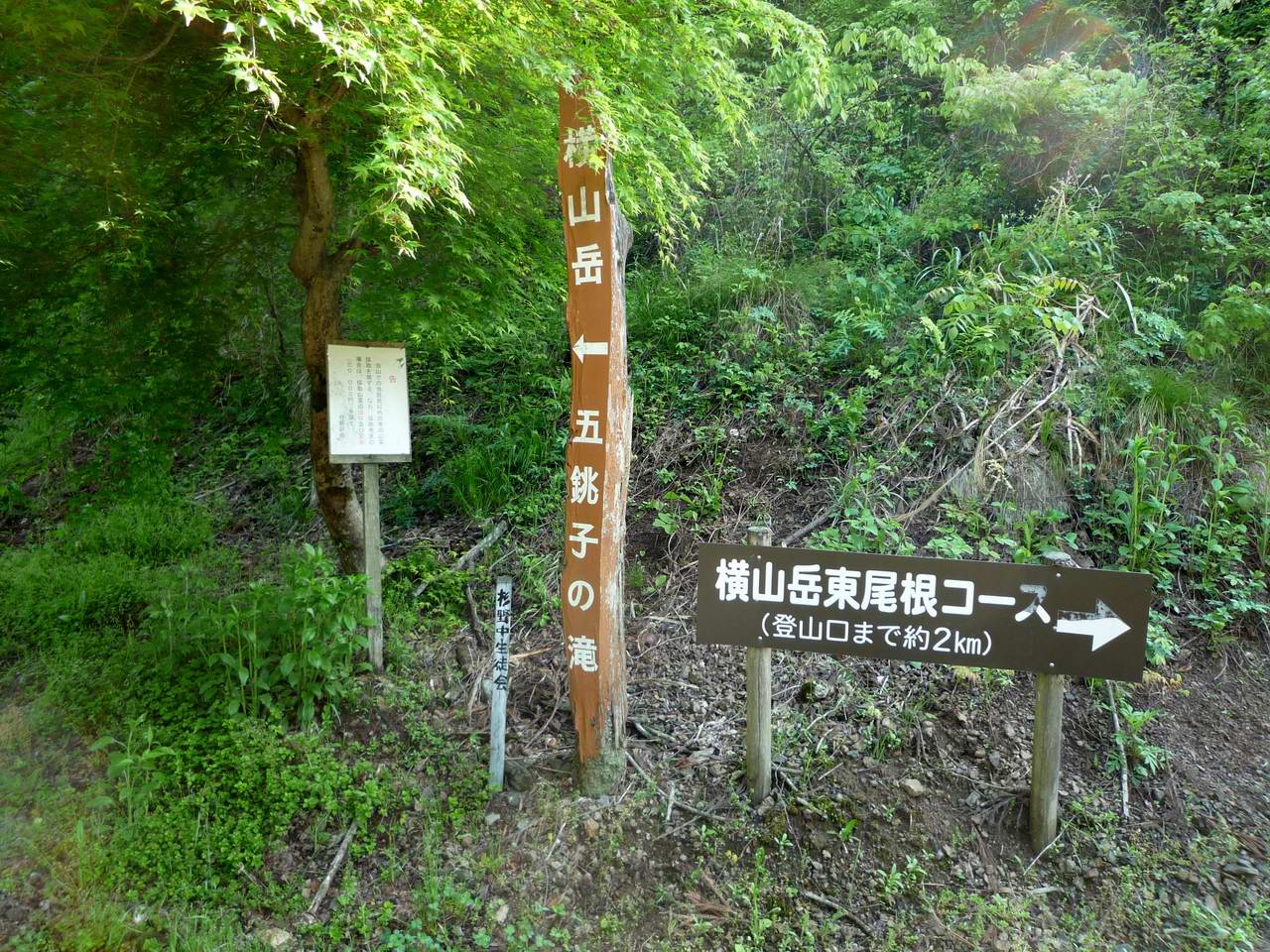 湖北に静かに横たわる花と滝の山－横山岳_e0110500_14464270.jpg