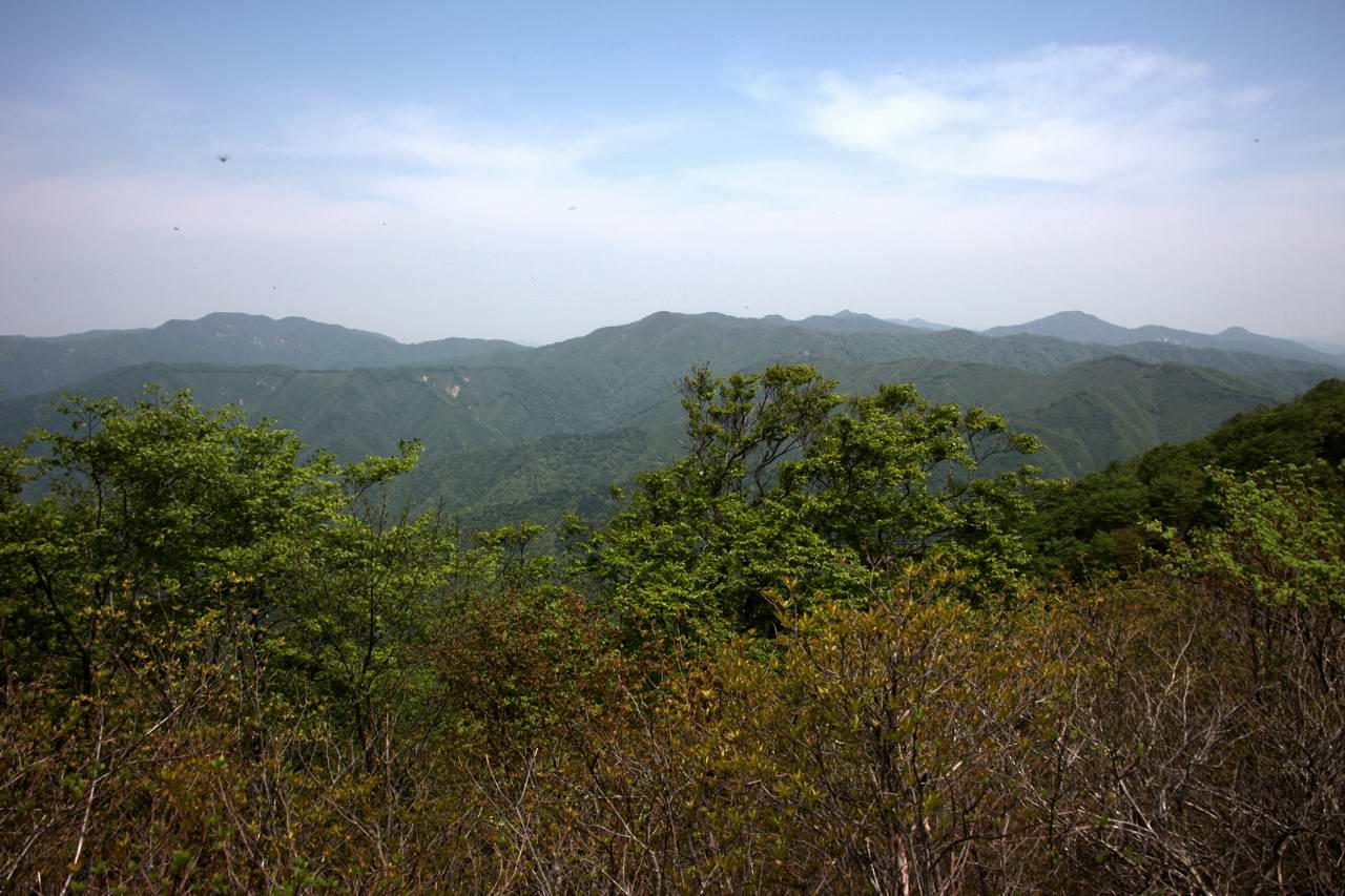 湖北に静かに横たわる花と滝の山－横山岳_e0110500_23132953.jpg