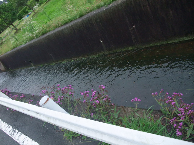 c0183801_11262865.jpg