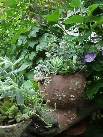 c0129702_071758.gif