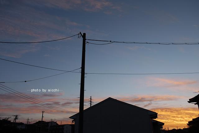 spider × 夕日_c0198903_210532.jpg