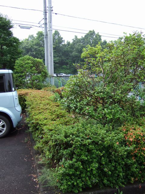 作り直しです_f0108604_1740458.jpg