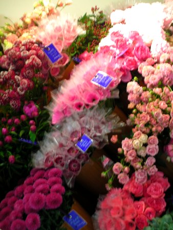来てます!_a0115906_161379.jpg