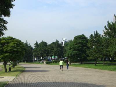 090626-3 実物大ガンダム@お台場潮風公園_f0138807_21265436.jpg