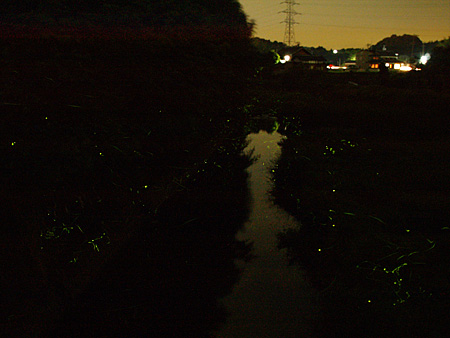 a0041508_164230.jpg