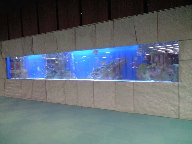 会津中央病院_d0099708_8114231.jpg