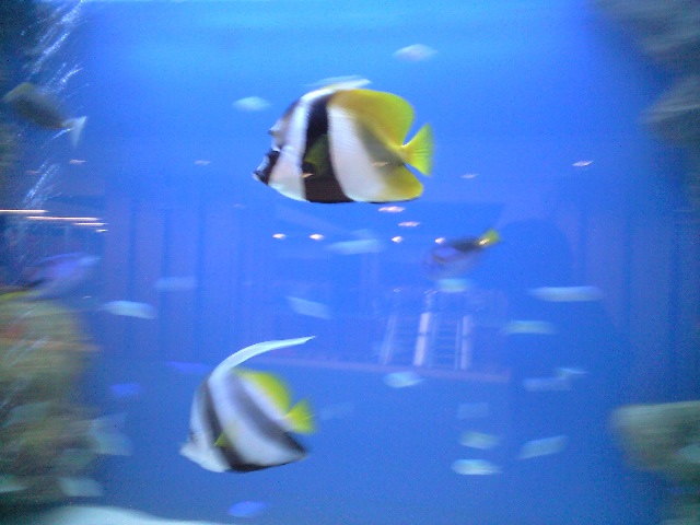 会津中央病院_d0099708_8114250.jpg