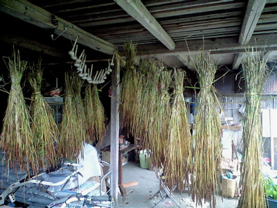 f0135908_2125572.jpg