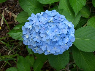 a0126310_2258363.jpg