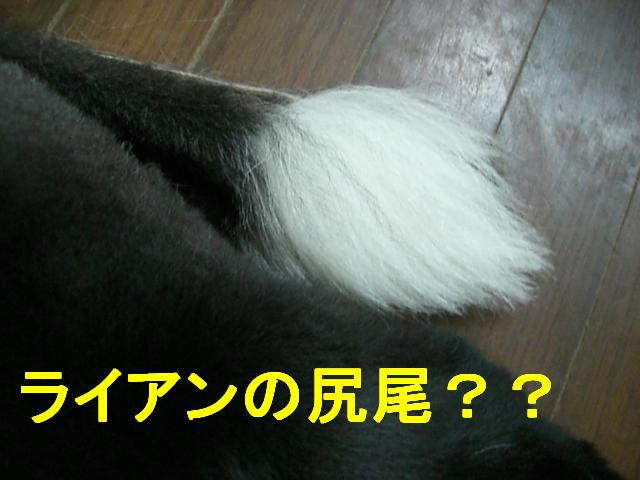 b0137913_1361442.jpg
