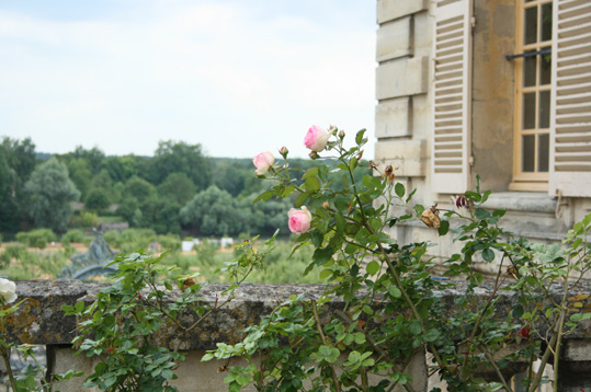 d0070113_4415827.jpg