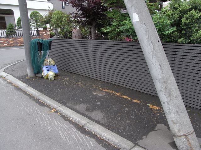 ゴミ有料化初日_c0025115_18461746.jpg