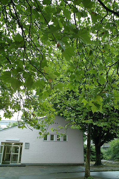 b0148617_17395399.jpg