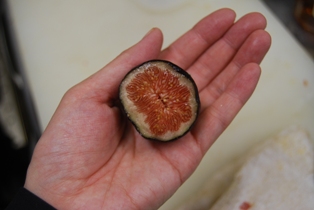 Figue フィグ (いちじく)_e0025817_23235274.jpg