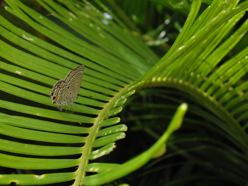 d0022918_21335999.jpg