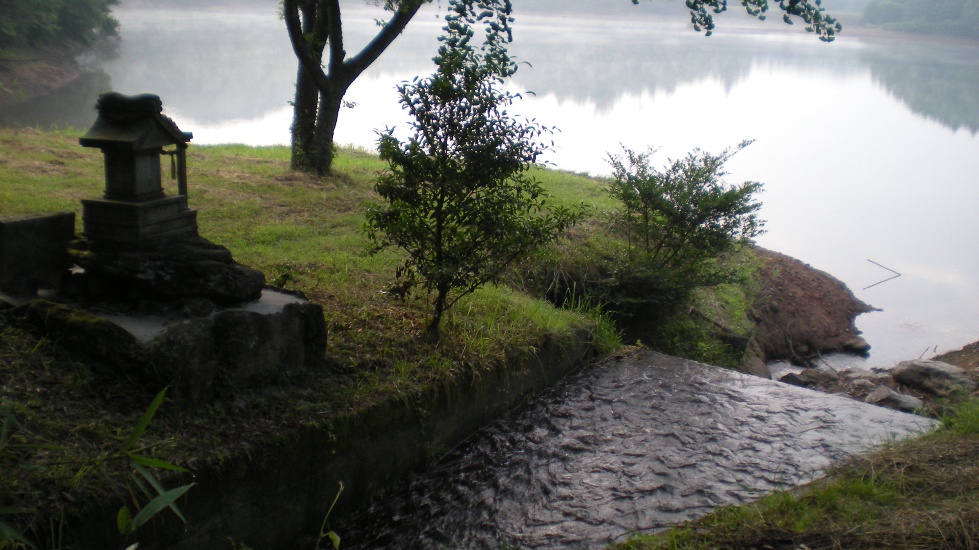 ほんとに 大雨です_a0125419_8543142.jpg