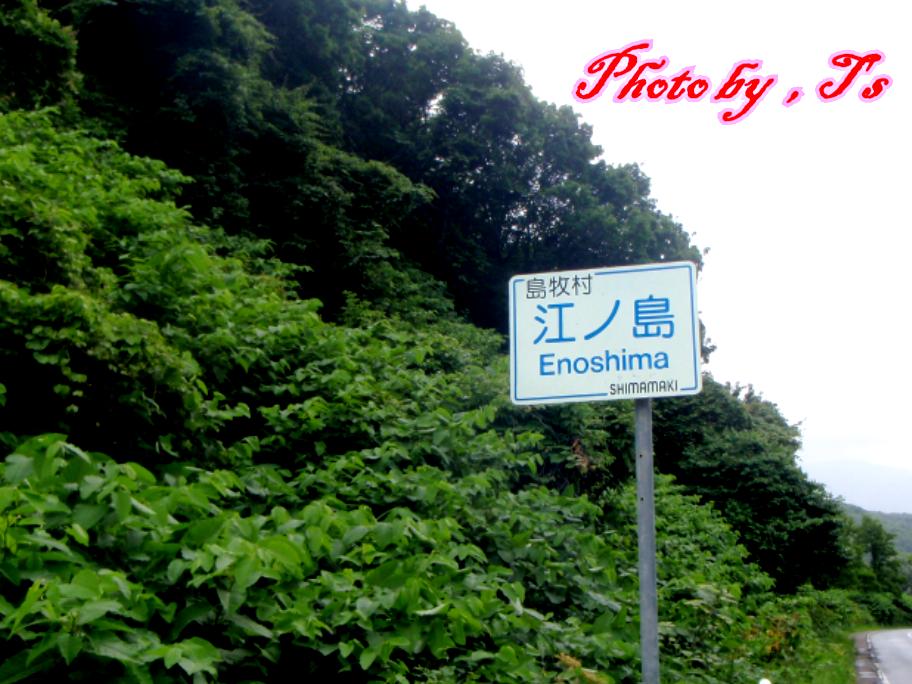 f0147821_1463710.jpg