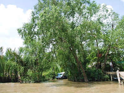 f0025622_1581610.jpg