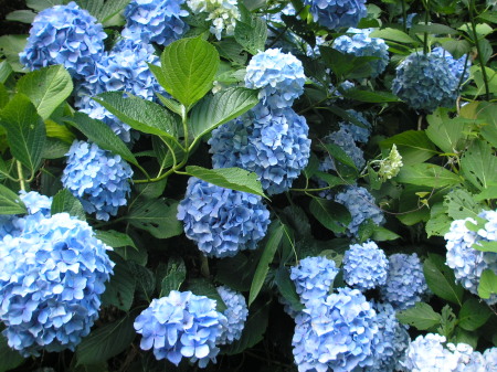 a0048823_1328583.jpg
