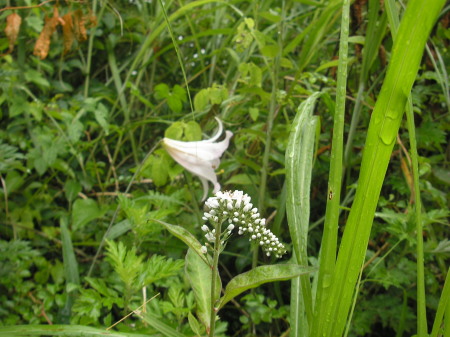 a0048823_1441227.jpg