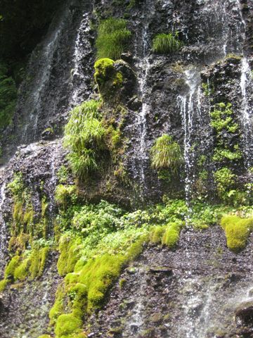 b0168823_21504426.jpg