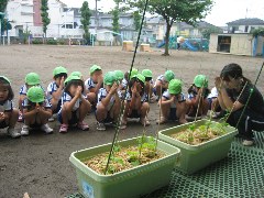 7月1日(年長　歌の発表　緑の衣作戦)_d0091723_22393921.jpg