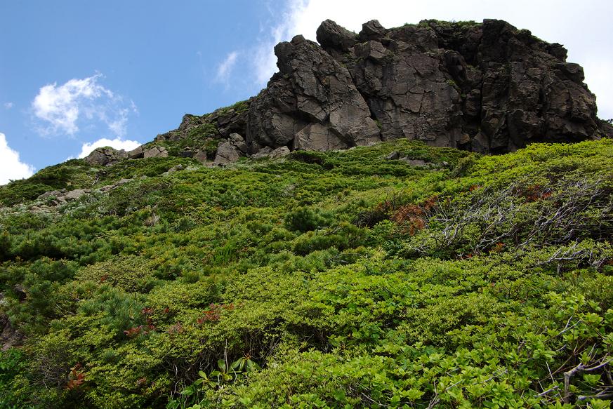 b0062024_80139.jpg