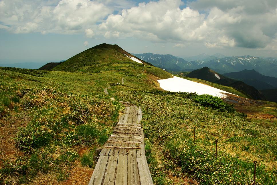 b0062024_826378.jpg