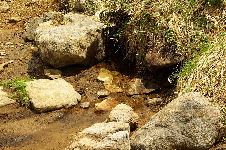 b0062024_83042100.jpg
