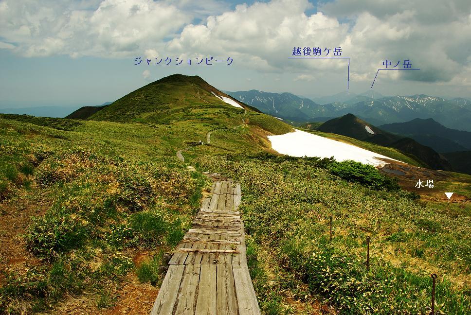b0062024_83086.jpg