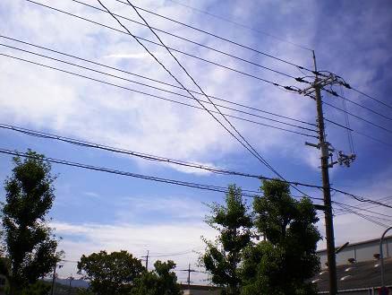 e0118224_924689.jpg