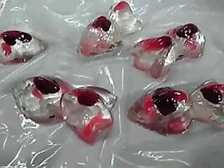 金魚の羊羹_a0078827_21185313.jpg