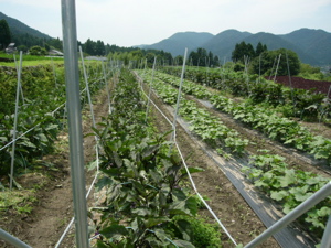 f0124729_2246094.jpg