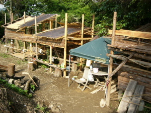 f0124729_22461247.jpg