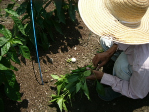 f0124729_22462234.jpg
