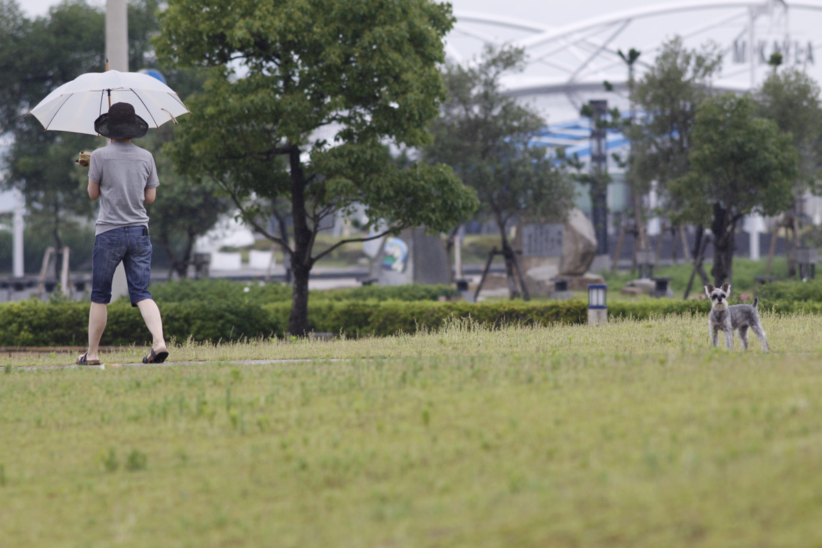 雨でもSP。。。_c0149339_1185353.jpg