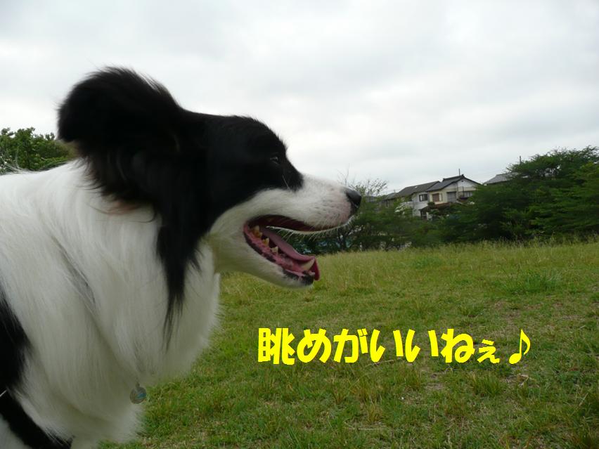 c0147241_23565951.jpg