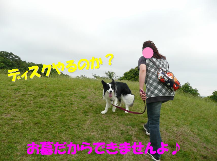 c0147241_23571218.jpg
