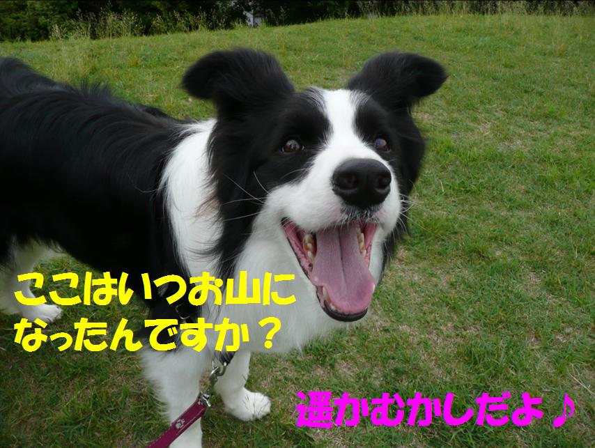 c0147241_2357532.jpg
