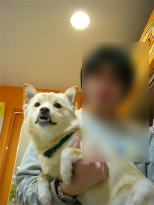 18日の日記です。COMBOOに会ったよ。 _a0126743_2183389.jpg