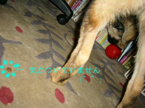 バスターキューブ _a0126743_2241874.jpg