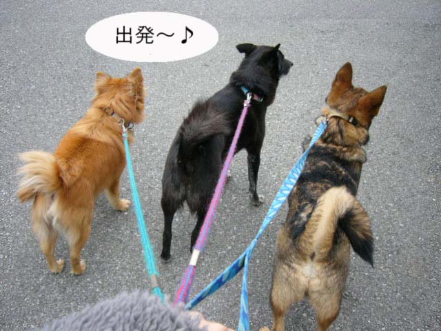 一番の楽しみ _a0126743_242168.jpg